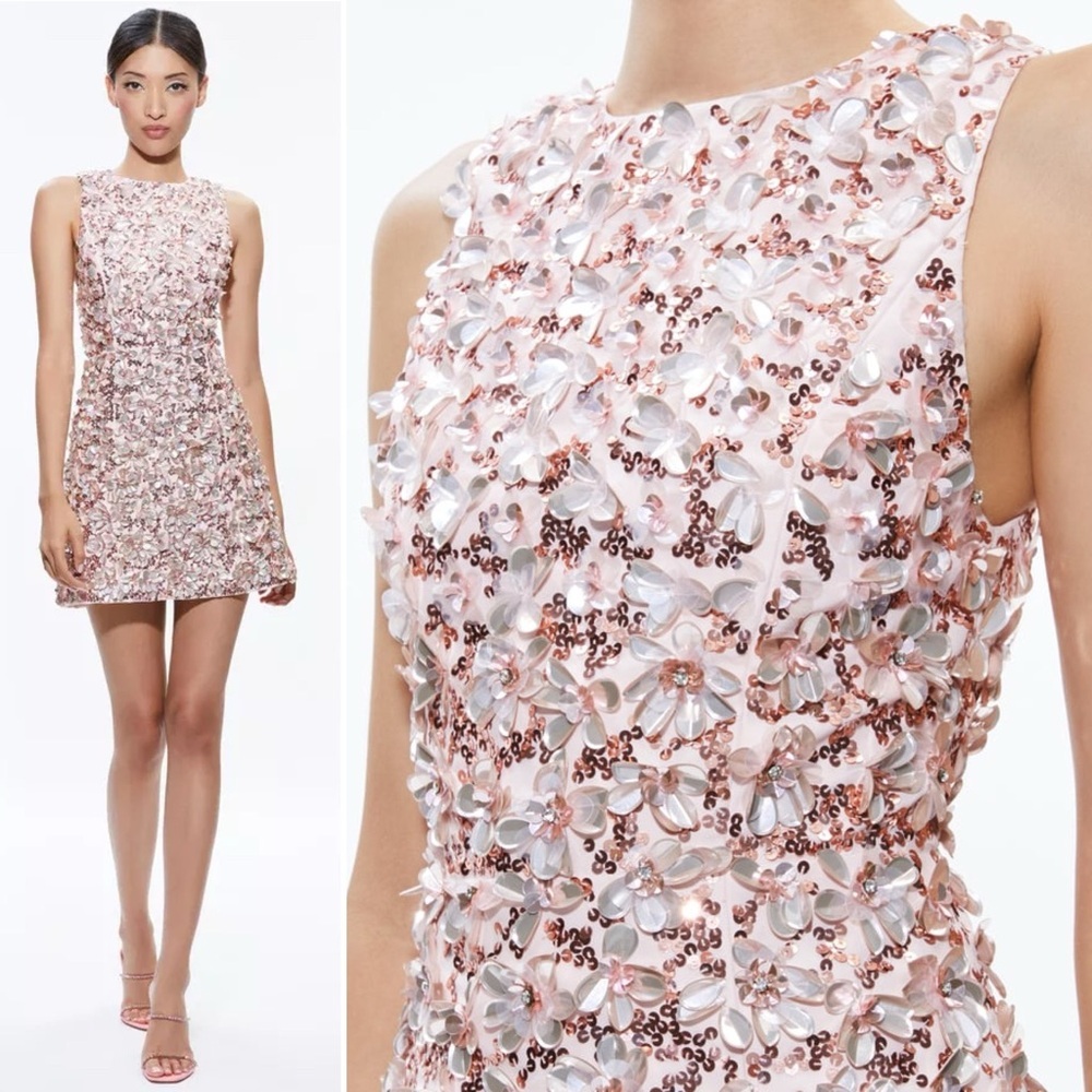 NWOT Alice + Olivia Lindsey Embellished Mini Gown Size 2 Blush Rose MSRP $995 - Picture 2 of 16